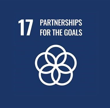 sdg17